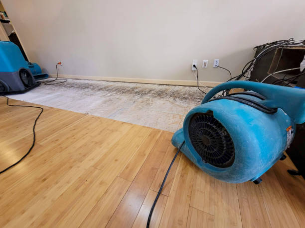 Professional Basement Flood Cleanup technician working in Eden, WI